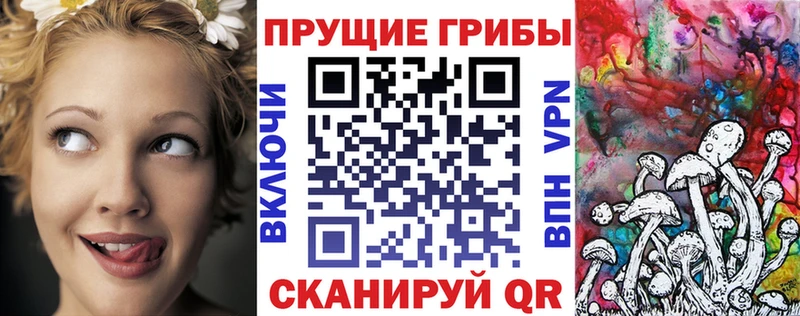 Псилоцибиновые грибы прущие грибы KRAKEN зеркало Ногинск