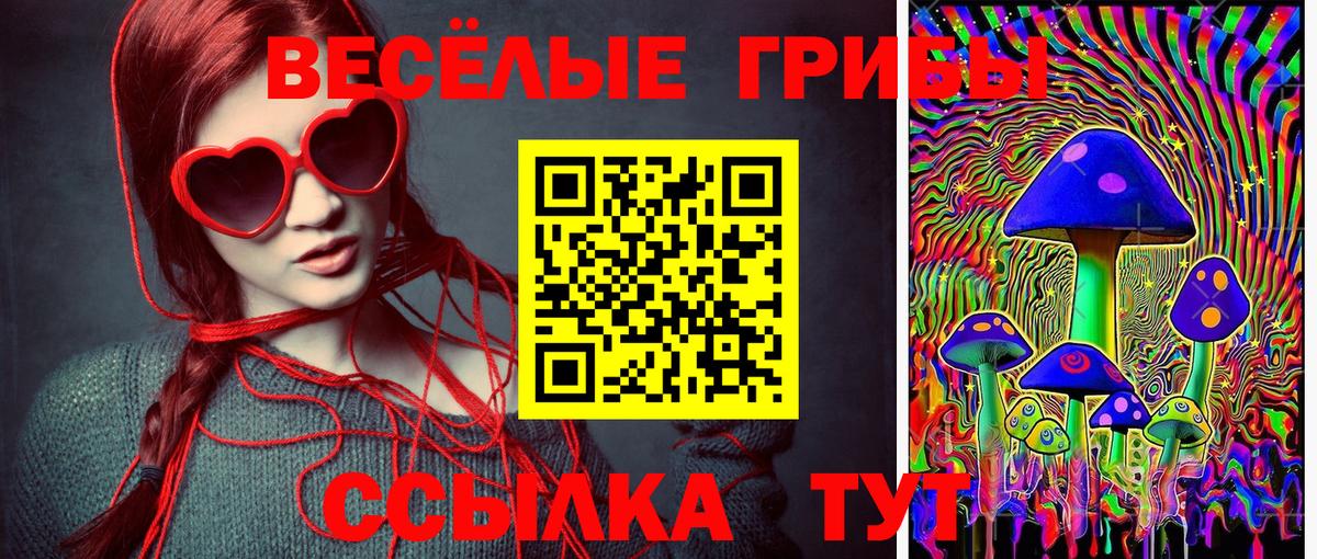 Галлюциногенные грибы Psilocybe Ногинск