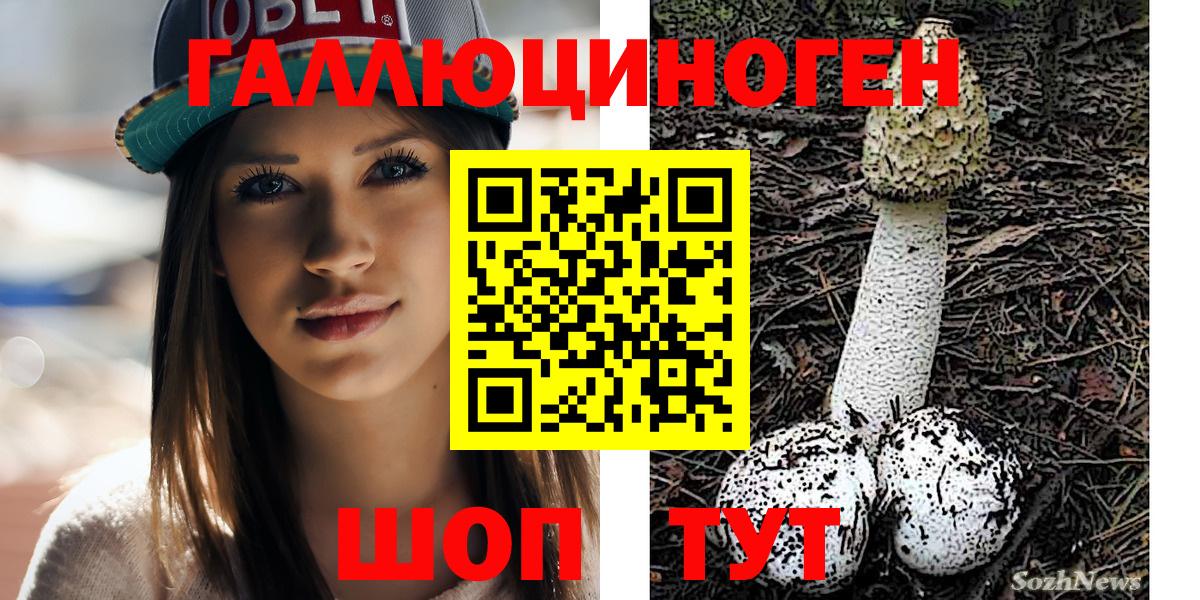 Ногинск  Галлюциногенные грибы Magic Shrooms  Вход с VPN 